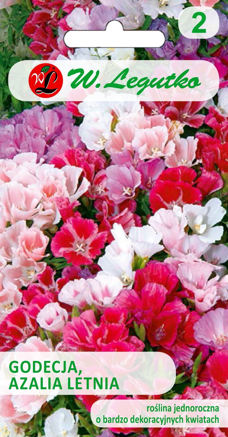 Legutko Nasiona Godecja, Azalia letnia mieszanka, 1g