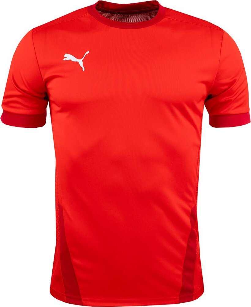 Puma Koszulka dla dzieci Puma teamGOAL 23 Jersey czerwona 704160 01 116cm