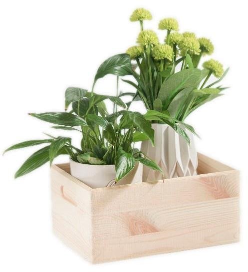 WOODEN BOX21X12X9.5 508100