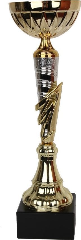 Tryumf Puchar Tryumf W1991