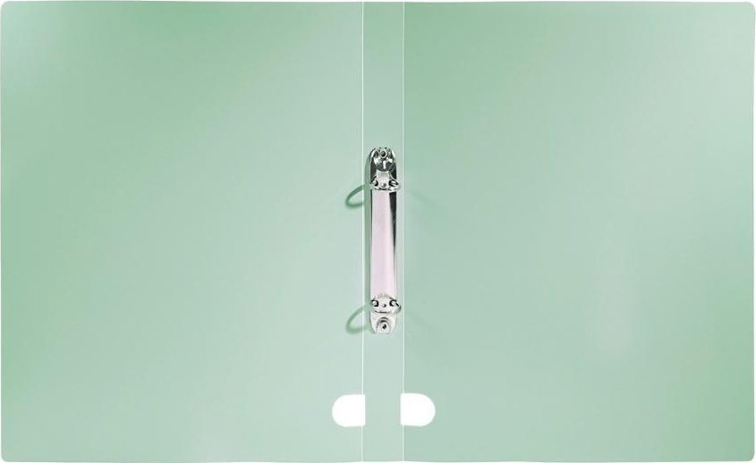 Segregator A4 PP 3cm 2R zieleń morandi