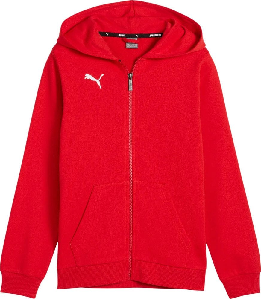 Bluza dla dzieci Puma teamGoal Casuals Hooded czerwona 658596 01 164cm