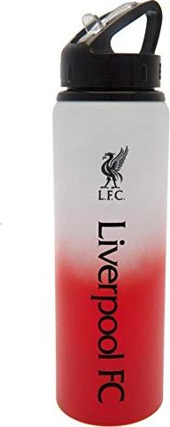 LEGO LEGO Hydration Bottle 0,5L Transparent Sand Green