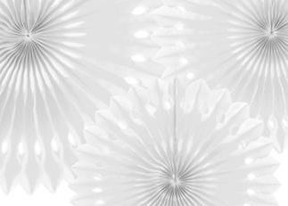 Party Deco Rozety dekoracyjne bibułowe, biały, 20-30cm, 3 szt. uniwersalny