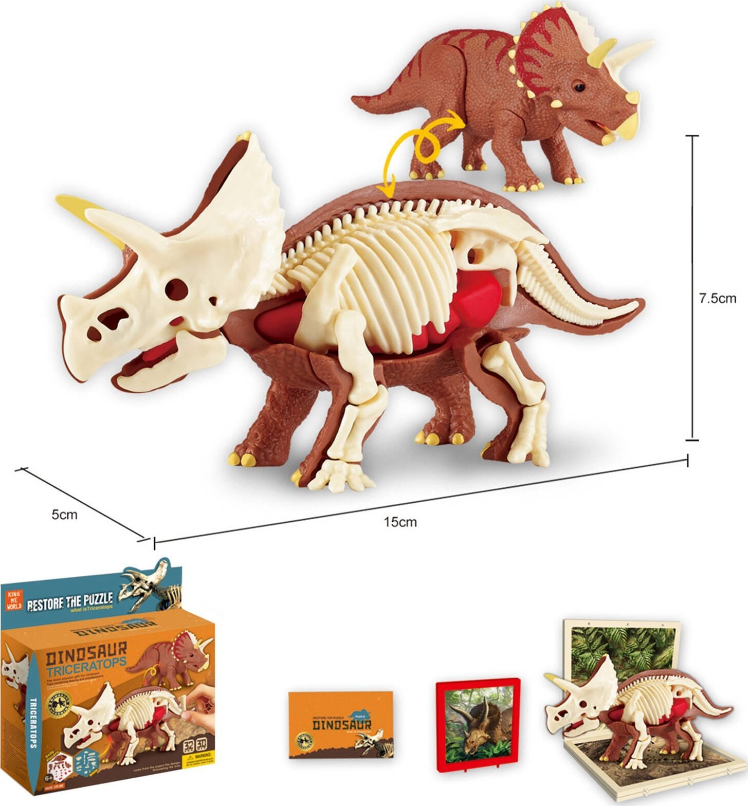 Trifox DINOZAUR ZE SZKIELETEM DO SKŁADANIA