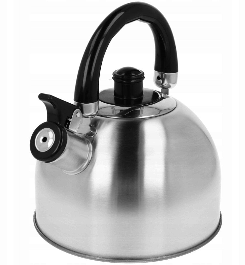 Brunbeste Czajnik stalowy czajnik z gwizdkiem na gaz indukcyjny srebrny połysk 2L BB-2401-B