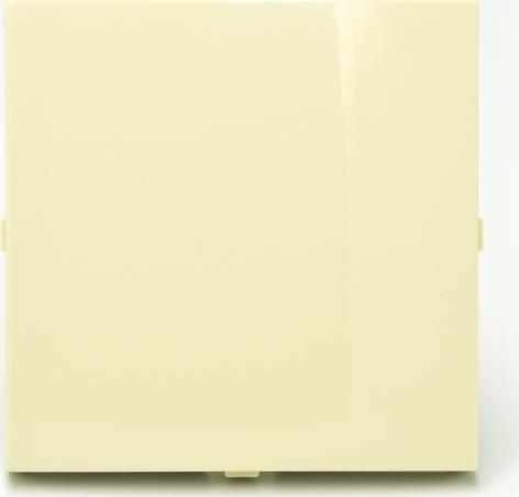 Efapel EFAPEL BASE ELEMENT CENTRALNY DO ZAŚLEPKI KOŚĆ SŁONIOWA 90677 TMF