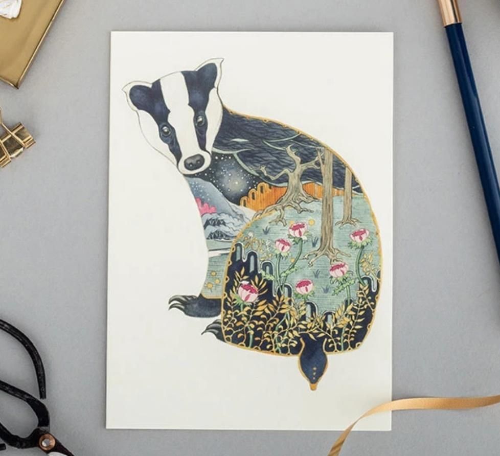 DM Collection Karnet A024 B6 + koperta Nocny borsuk