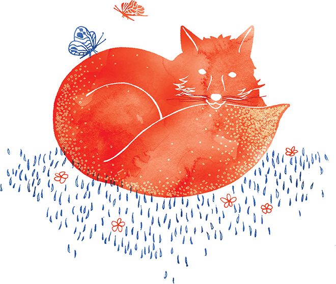 Clear Creation Karnet Swarovski kwadrat Lis (CL2608)