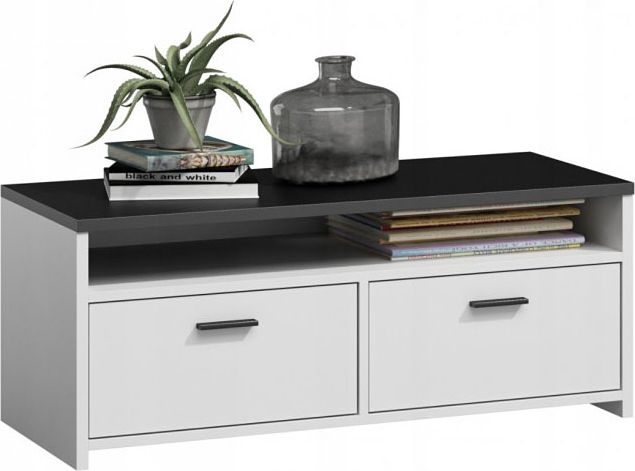 Elior Szafka pod telewizor do salonu - Afans