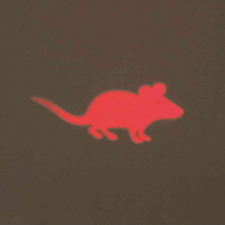 Trixie Trixie Laser LED myszka zabawka dla kota psa 100 h uniwersalny