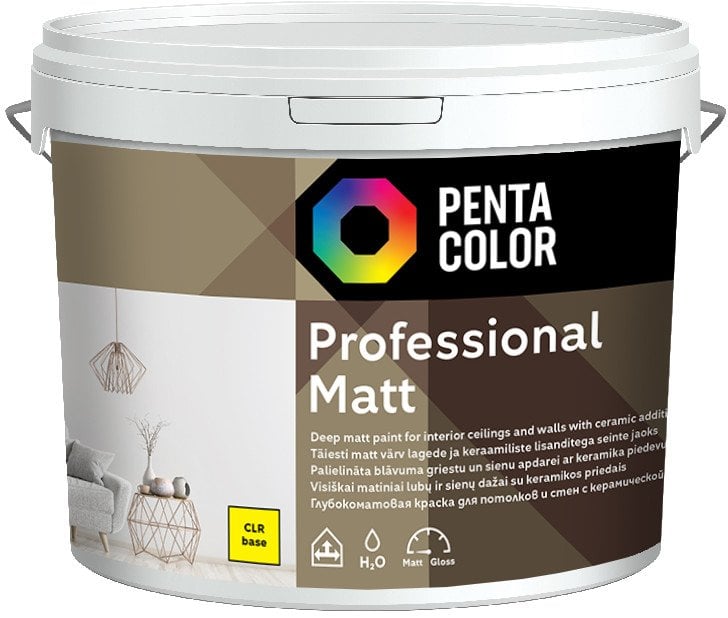 DISPERSION PAINT PROFESSIONAL MAT (CL