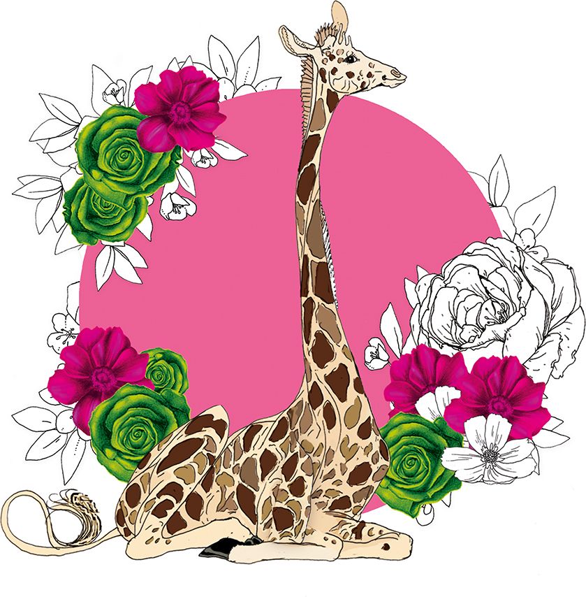 Clear Creation Karnet Swarovski kwadrat Żyrafa (CL1427)