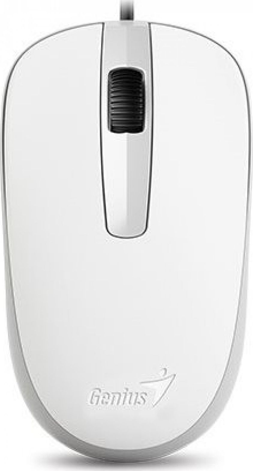 Mysz Genius DX-120 (31010105107)