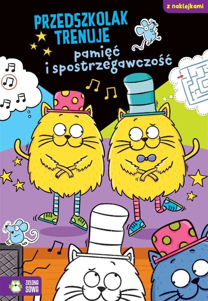 Zielona Sowa Przedszkolak trenuje pamięc i spostrzegaw. 09772