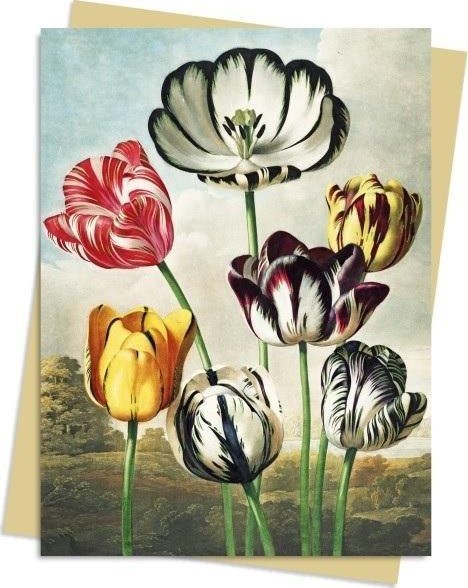 Karnet B6 Tulipany Temple of Flora