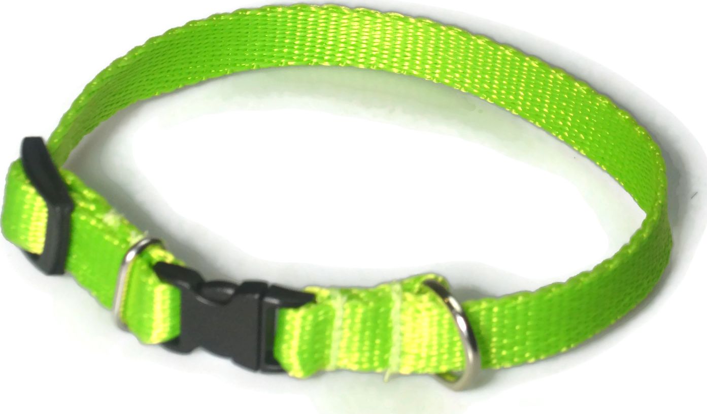 Alizoo Obroża dla małego psa 13mm/21-36cm - ALIZOO