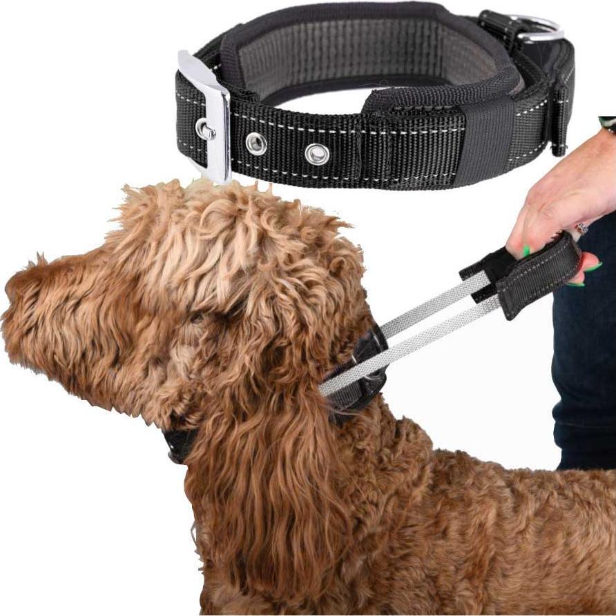 Patento Pet Obroża Dla Psa Treningowa z Uchwytem Krótką Smyczą M