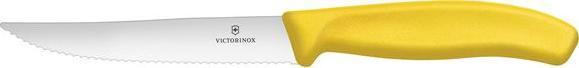 Victorinox Nóż do steków i pizzy, ząbkowany, ostry czubek żółty
