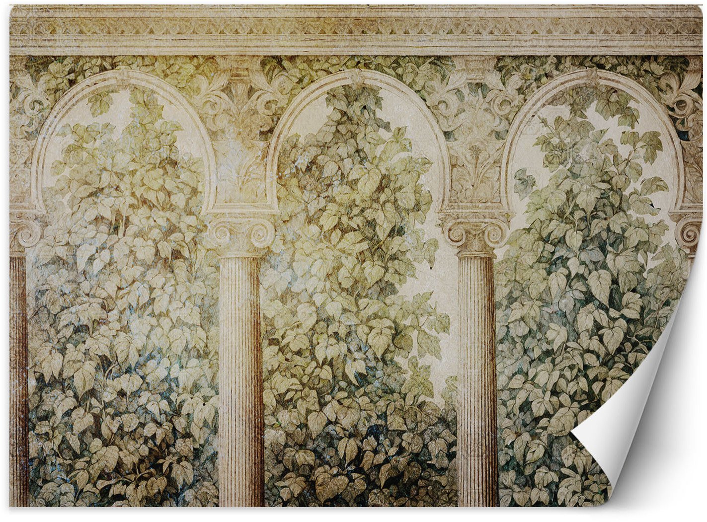 Feeby Fototapeta Kolumny bluszcz rośliny 300x210 medium