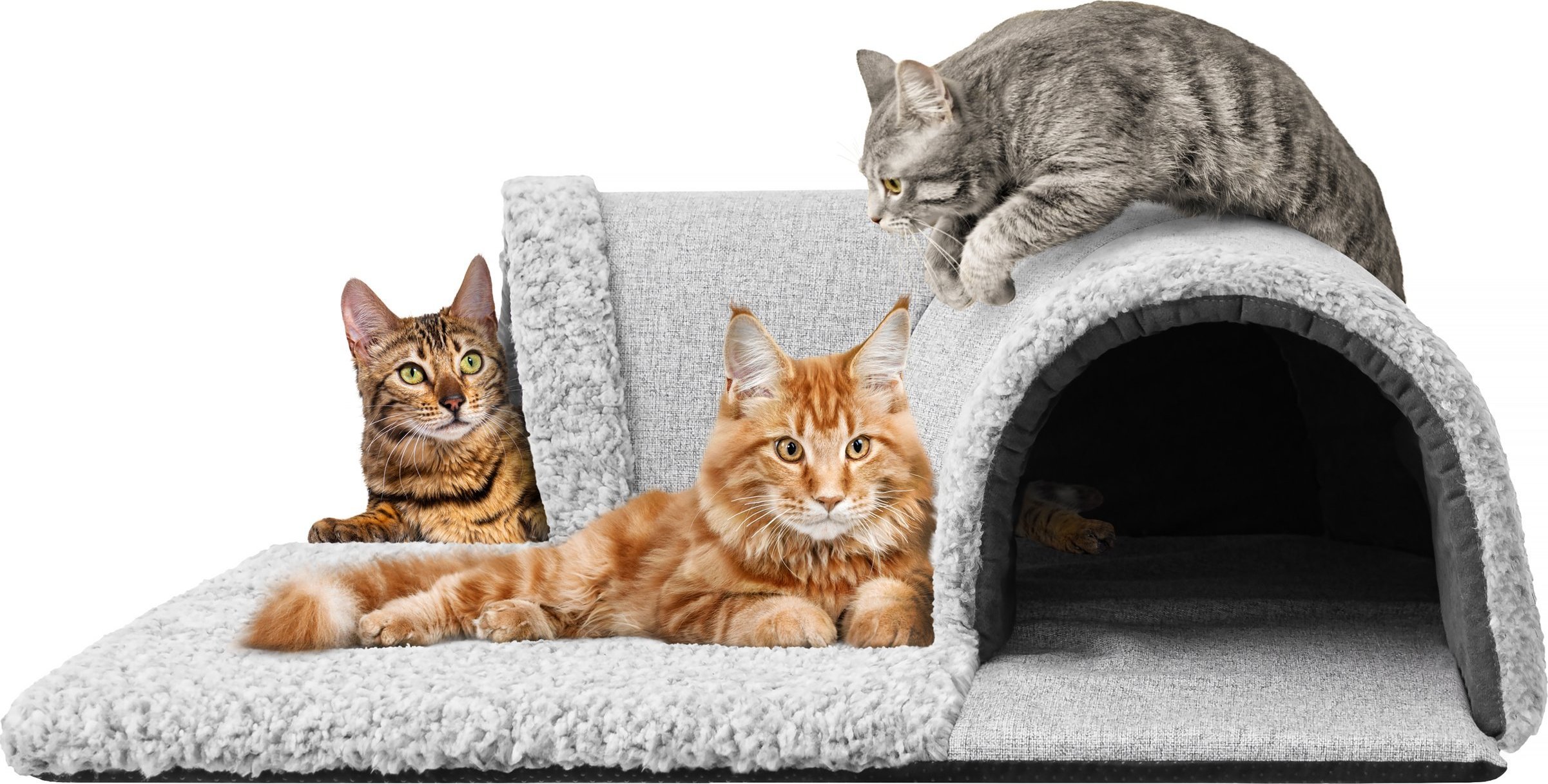 Hobbydog TUNEL GALERIA POPIELATY