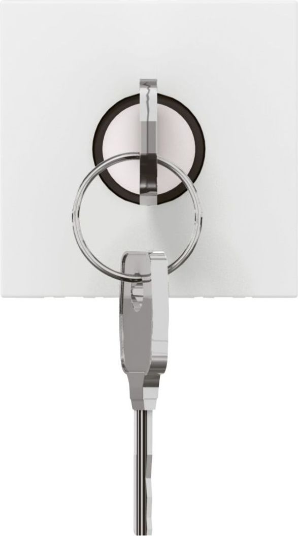 Legrand Wyłącznik na klucz Mosaic do lamp awaryjnych biały (076630)