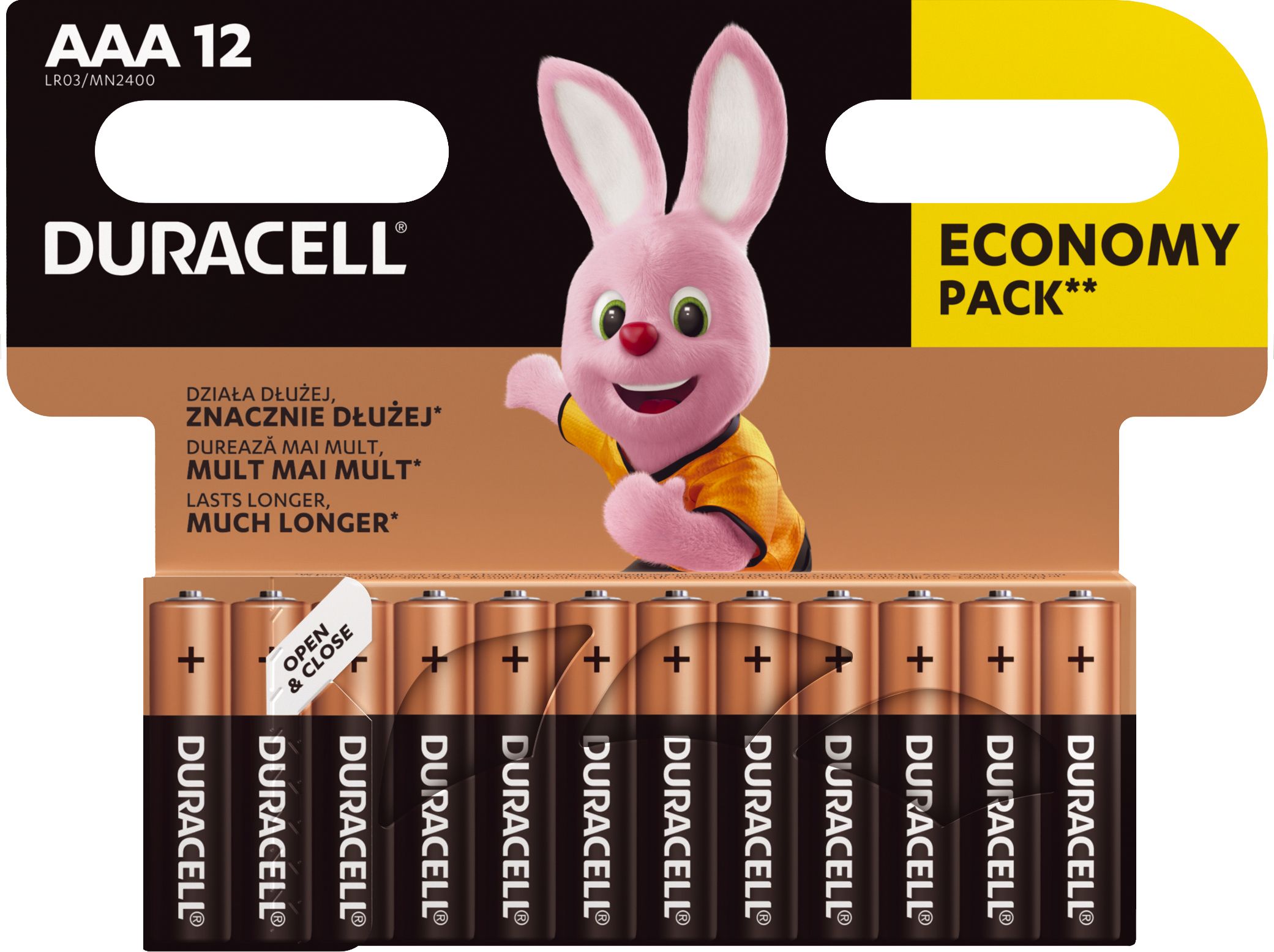 Duracell Bateria Basic AAA / R03 12 szt.