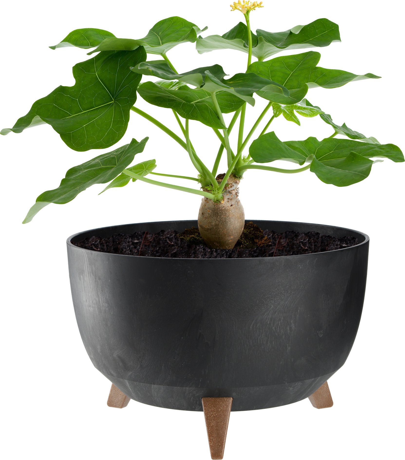 KADAX Doniczka Donica Na Kwiaty 33cm Osłonka + Wkład Nóżki Korek Kwietnik Czarny