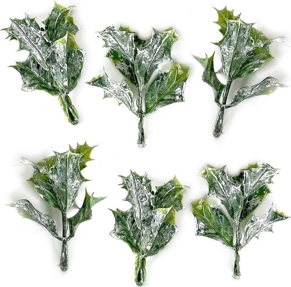 Bielone liście ostrokrzewu 3szt