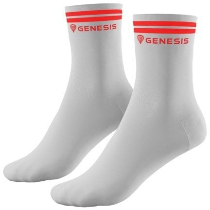 SKARPETKI SPORTOWE GENESIS 39-42