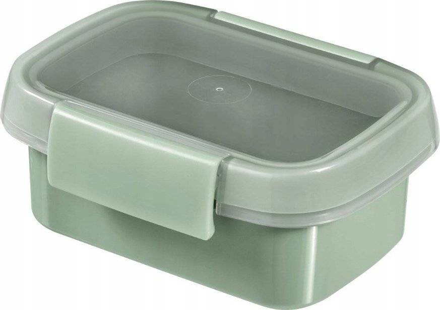 Kadax Curver Pojemnik Na Żywność Lunchbox 200ml Eko