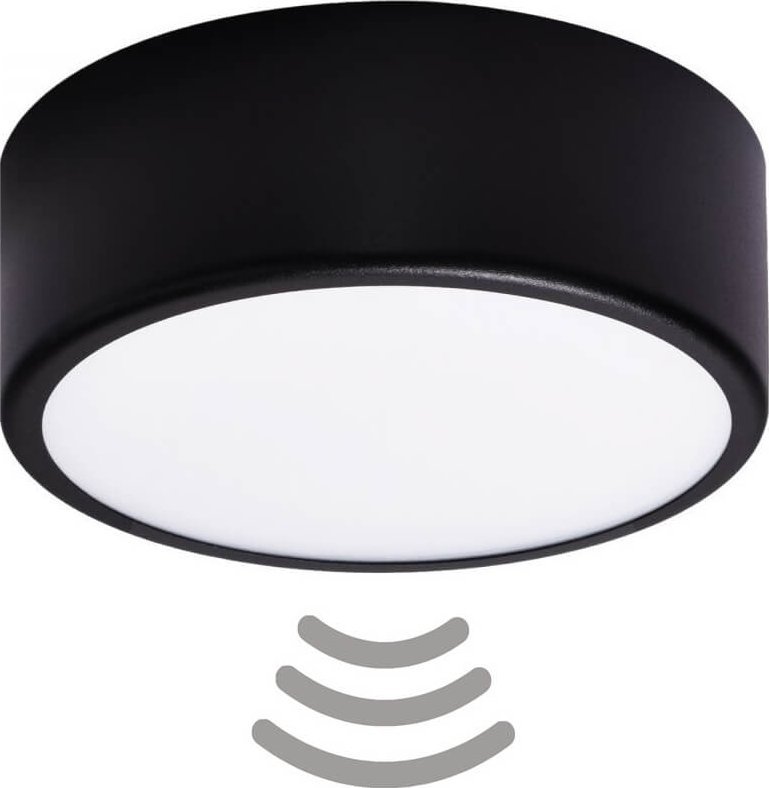 Lampa sufitowa Temar Minimalistyczna lampa sufitowa 137623600042 czarny plafon