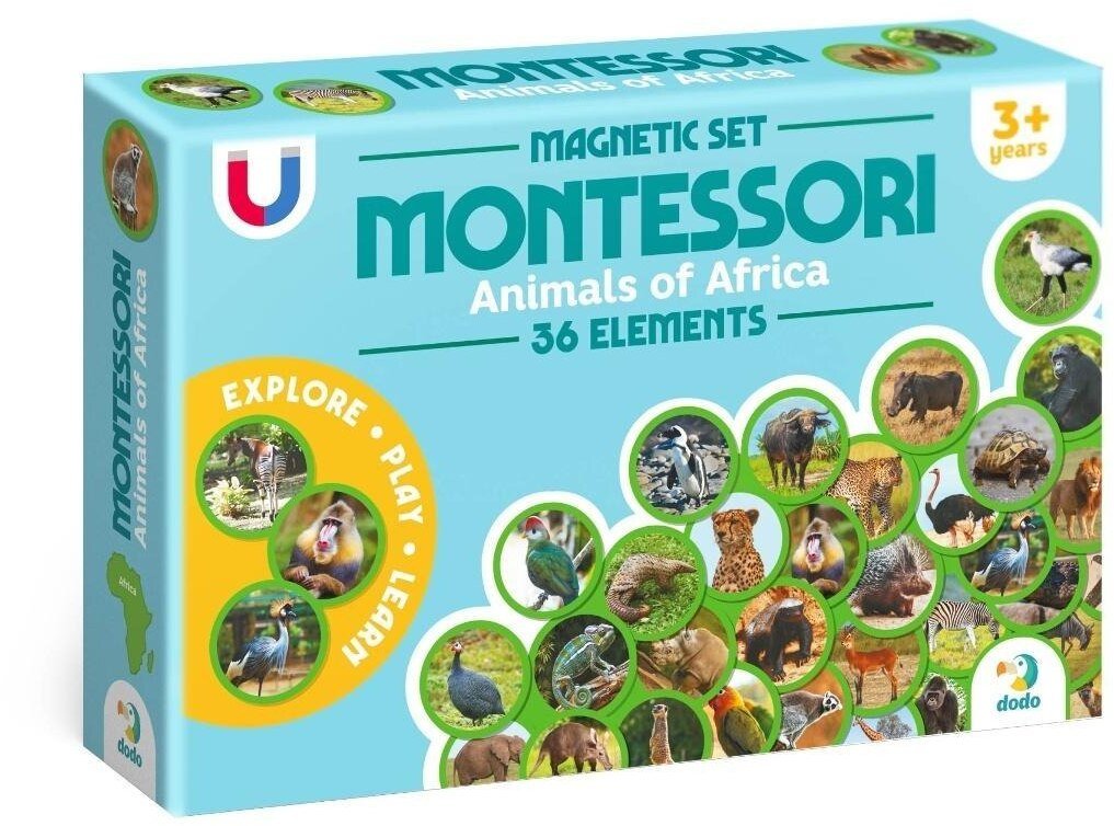 Zestaw magnesów Zwierzęta na kontynentach: Afryka