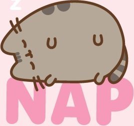 KOC bajkowy licencyjny 130x160 Pusheen NAP