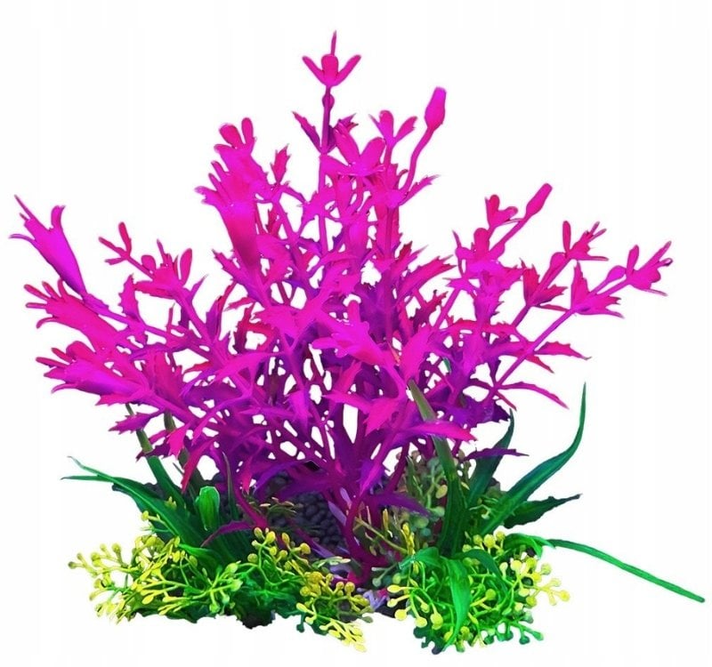Terra Natura Aqua Natura, roślina, do dekoracji akwarium, fioletowa, plastikowa, 12 cm, flowers in the shape of long bells