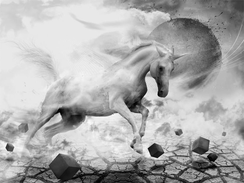 DecoNest Fototapeta - Unicorn - 300X231