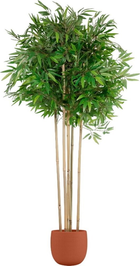 Home ESPRIT Drzewo Home ESPRIT Poliester Bambus 80 x 80 x 180 cm