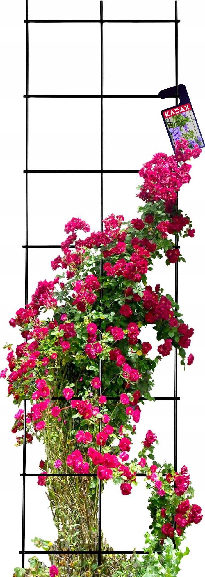 Kadax Drabinka Krata Ogrodowa Do Kwiatów Metalowa 35x120