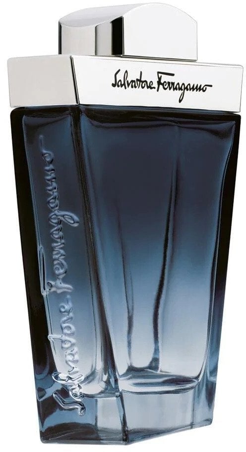 Salvatore Ferragamo Subtil Pour Homme woda toaletowa spray 30ml