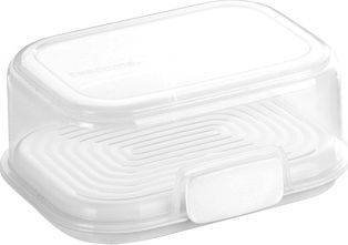 Tescoma POJEMNIK 891752.00 FRESHZONE 17 X 13 CM