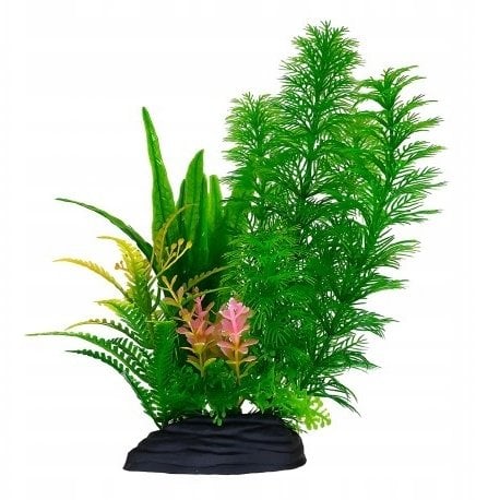 Aqua Natura, roślina, do dekoracji akwarium, zielona z różowym akcentem, plastikowa, 20 cm , paprotka i spirulina
