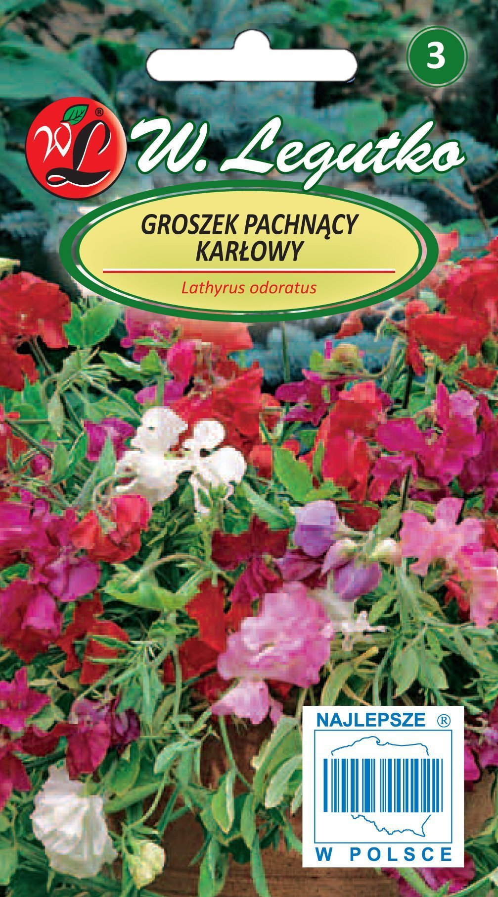 Legutko Nasiona Groszek pachnący mieszanka karłowa, 3g