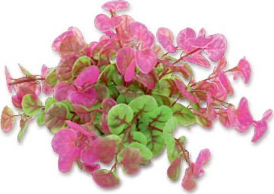 Happet HAPPET ROŚLINA FOLIA 10CM / 1F11