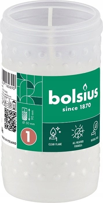 Bolsius Świece stołowe 4gab.kaste 245/24mm oliwkowy 8717847160690 8717847160690 (8717847160690)