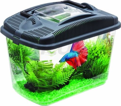 Axentia Akwarium Betta Kit - dla bojownika 3L