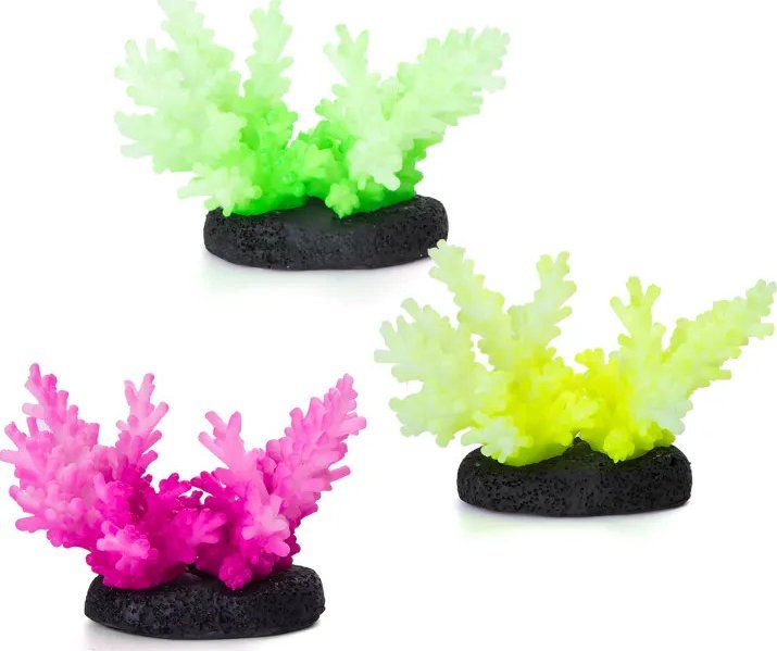 Nobleza Odblaskowy koral Odblaskowy koral