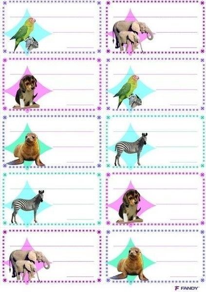 FANDY Naklejki na zeszyty 06