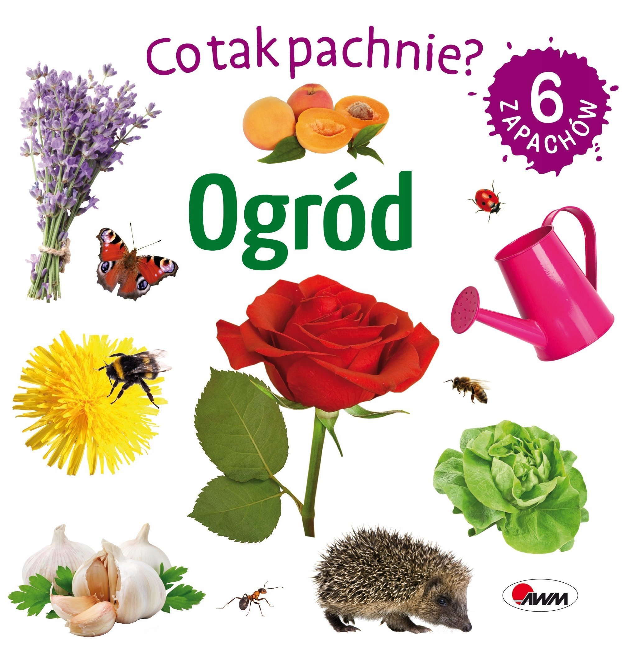 Co tak pachnie? Ogród