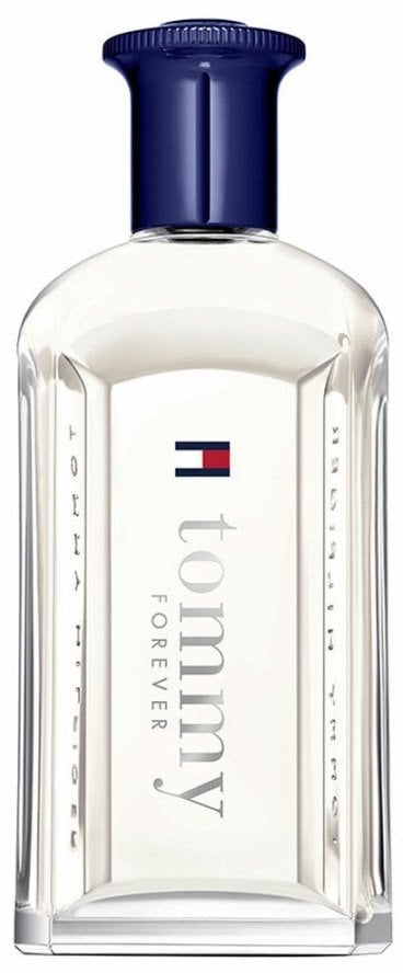 Perfumy Męskie Tommy Hilfiger TOMMY FOREVER EDT 100 ml