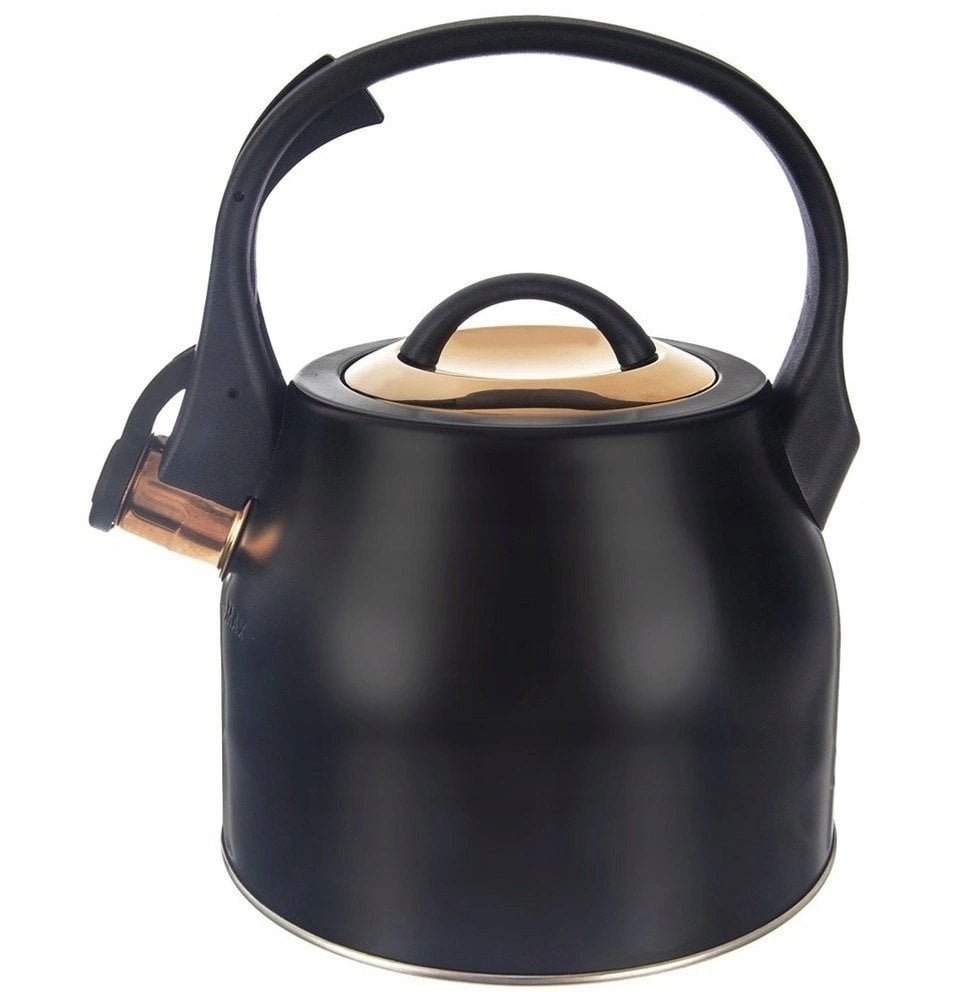 Czajnik na Gaz Indukcja z Gwizdkiem Pokrywką Czarny Solidny Trwały ORION 3L
